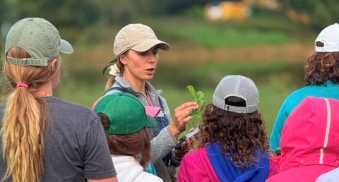 Featured image for “Botany in the Field”
